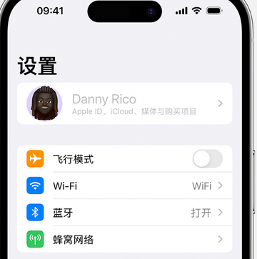 永靖appleID维修服务iPhone设置中Apple ID显示为灰色无法使用