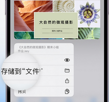 永靖apple维修中心分享iPhone文件应用中存储和找到下载文件