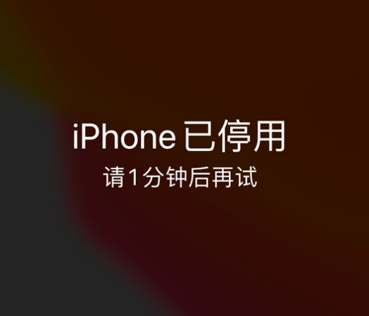 永靖苹果手机维修分享:iPhone 显示“不可用”或“已停用”怎么办？还能保留数据吗？ 