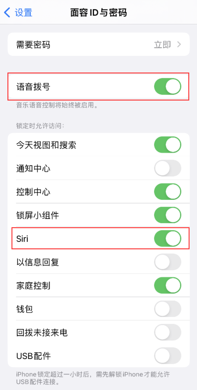 永靖苹果维修网点分享不解锁 iPhone 的情况下通过 Siri 拨打电话的方法 