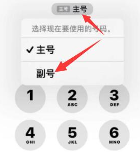 永靖苹果14维修店分享iPhone 14 Pro Max使用副卡打电话的方法 