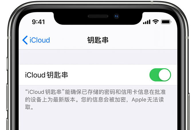 永靖苹果手机维修分享在 iPhone 上开启 iCloud 钥匙串之后会储存哪些信息 