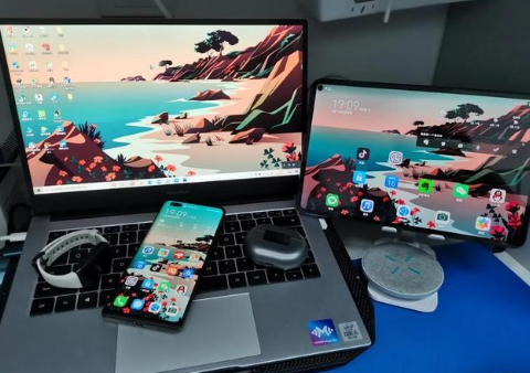 永靖苹果手机维修分享为什么iPad屏幕更大价格却比iPhone低 