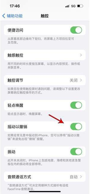 永靖苹果手机维修分享iPhone手机如何设置摇一摇删除文字 