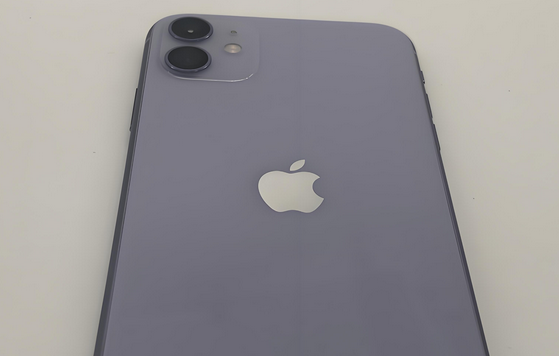 永靖苹果11系统维修分享iPhone11手机系统崩溃无法开机如何解决