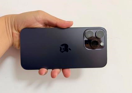 永靖苹果维修点分享iPhone 14 Pro Max黑屏少见故障盘点 